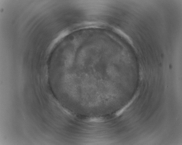 X0000076451411200610271812