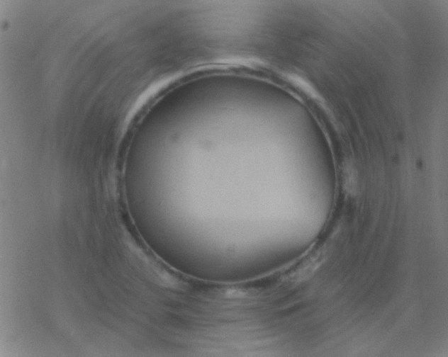 X0000076451412200610271812