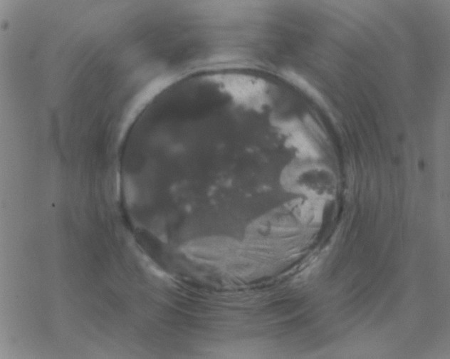 X0000076451413200610271812