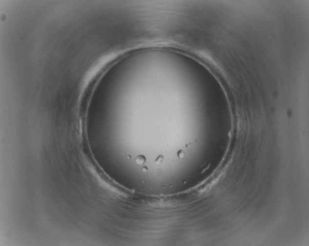 X0000076451414200610271812