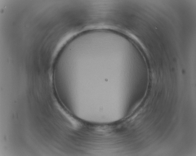 X0000076451416200610271812