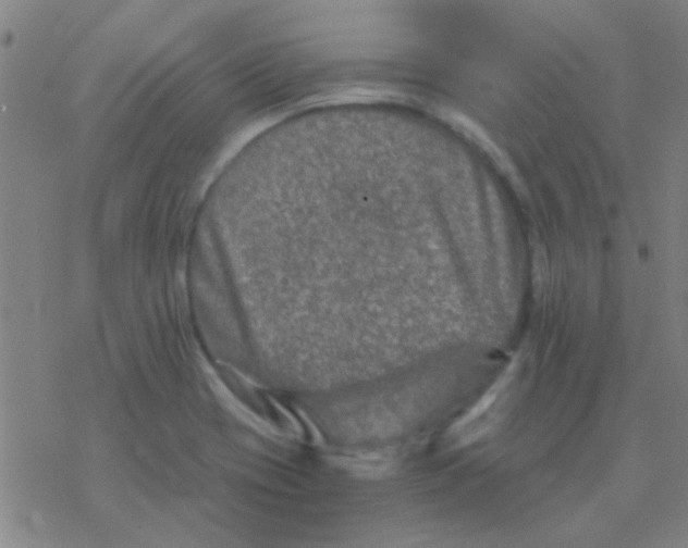 X0000076451417200610271812