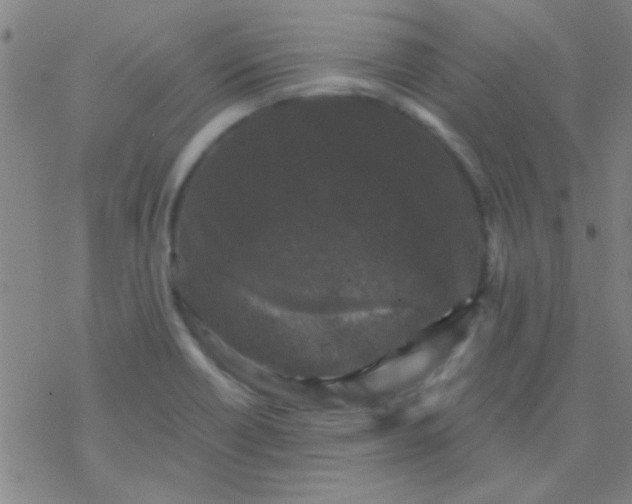 X0000076451418200610271812