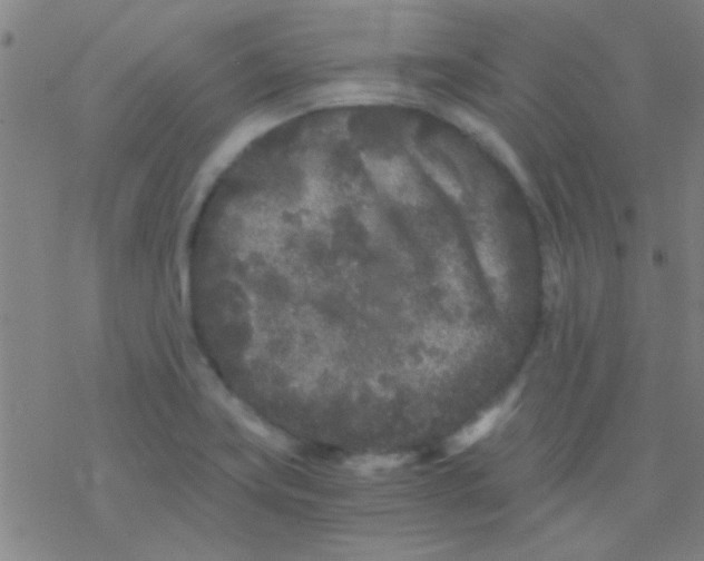 X0000076451419200610271812