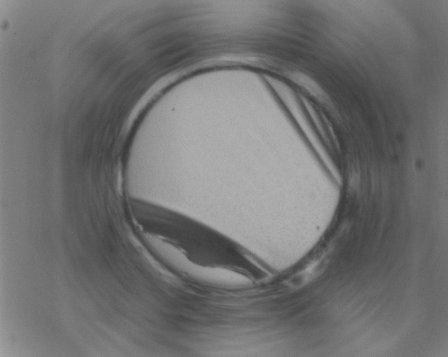 X0000076451420200610271812