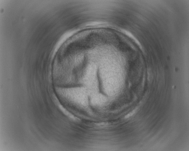 X0000076451421200610271812