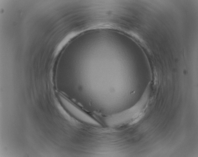 X0000076451422200610271812