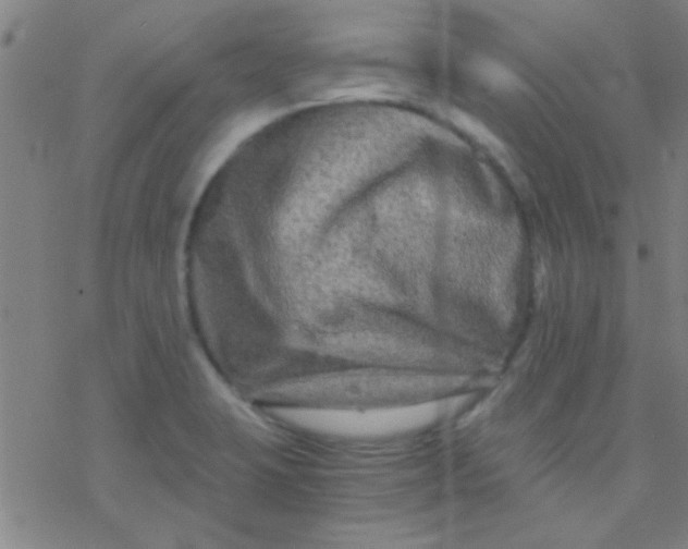 X0000076451423200610271812