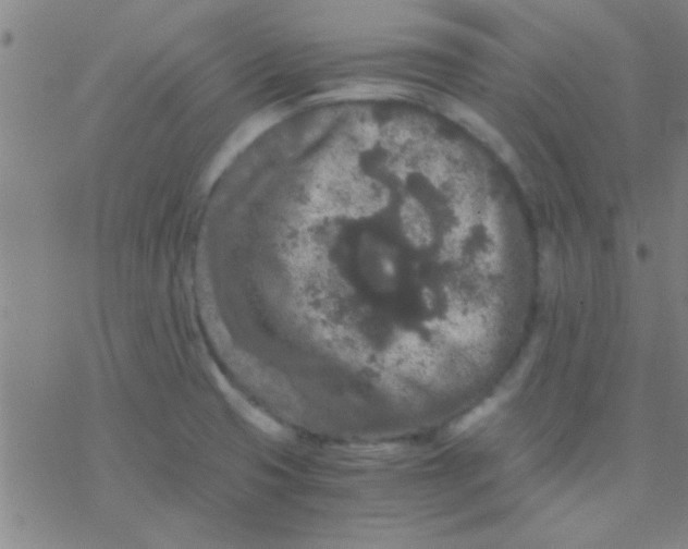 X0000076451425200610271812