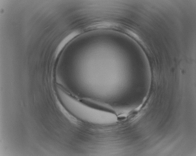 X0000076451426200610271813