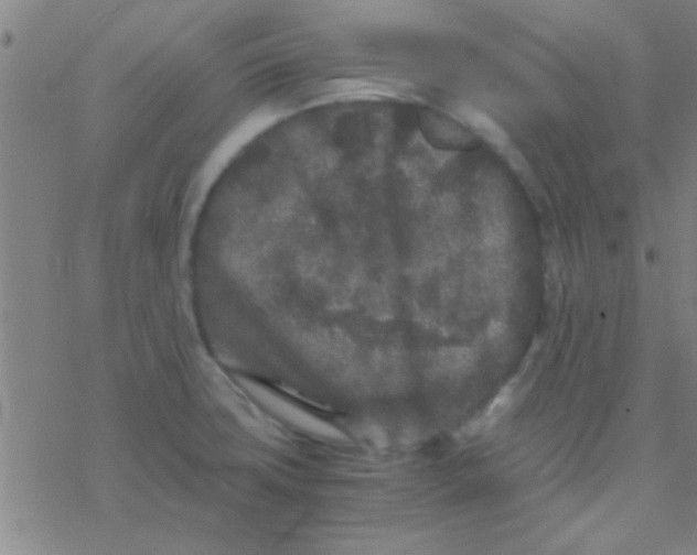 X0000076451427200610271813