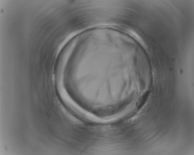 X0000076451428200610271813