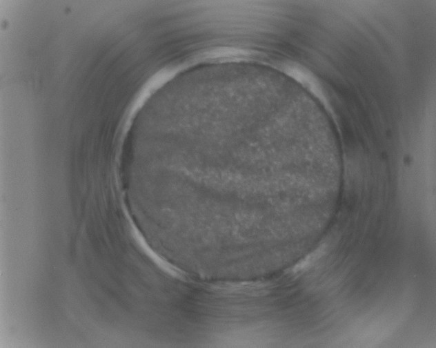 X0000076451429200610271813