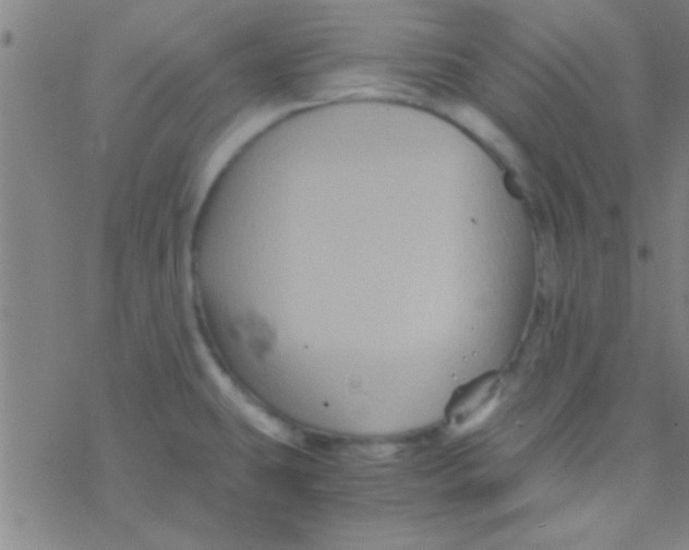 X0000076451431200610271813