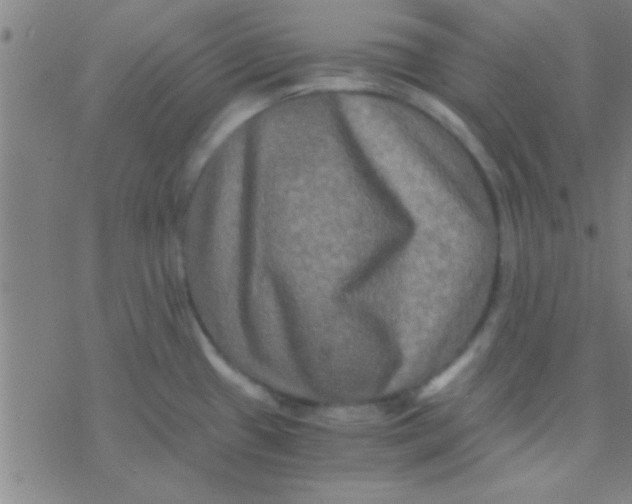 X0000076451433200610271813