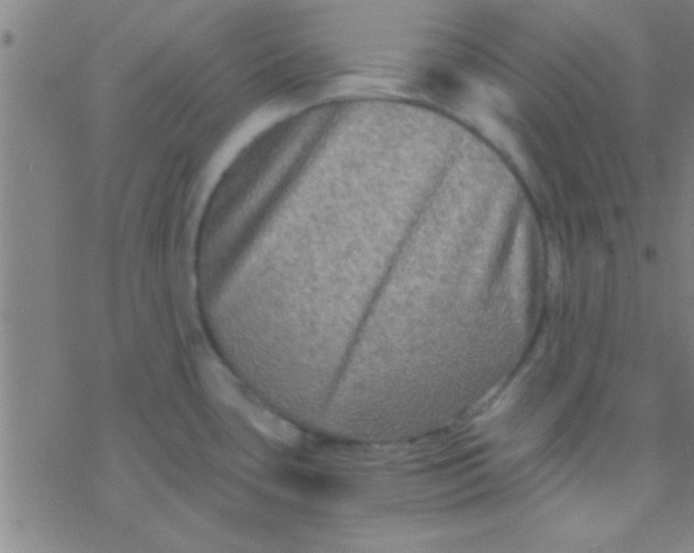 X0000076451435200610271813