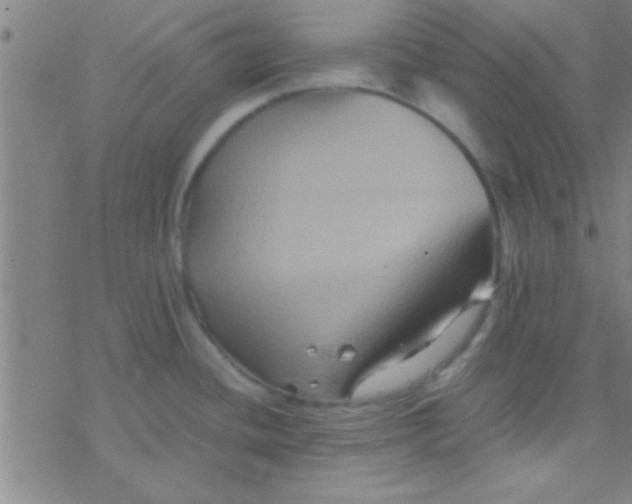 X0000076451436200610271813