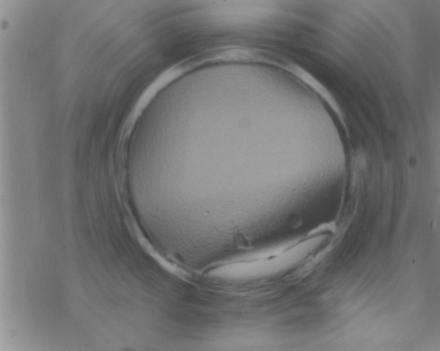 X0000076451437200610271813