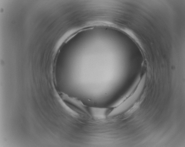 X0000076451438200610271813