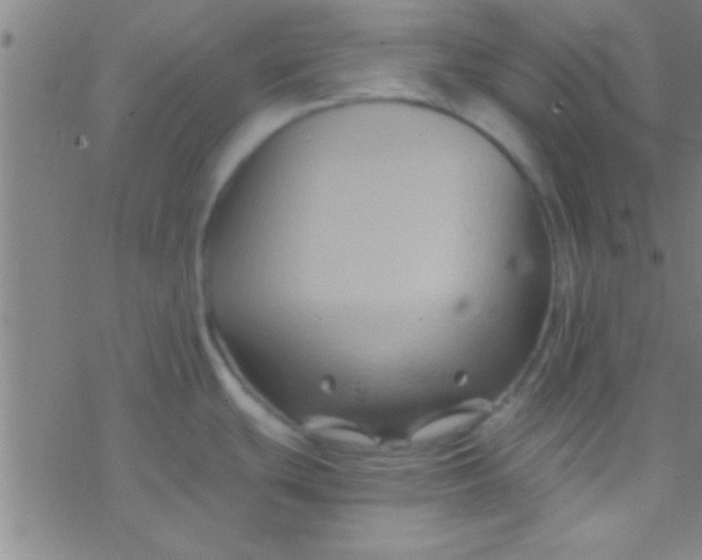 X0000076451439200610271813