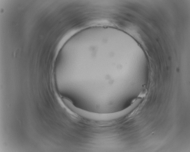 X0000076451440200610271813