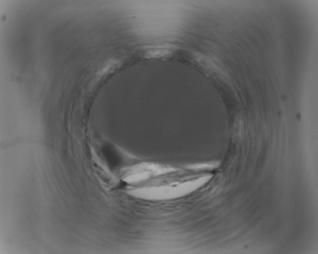 X0000076451441200610271812