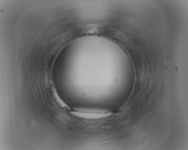 X0000076451442200610271812