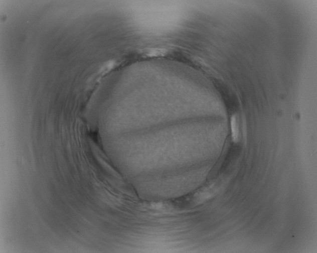 X0000076451443200610271812