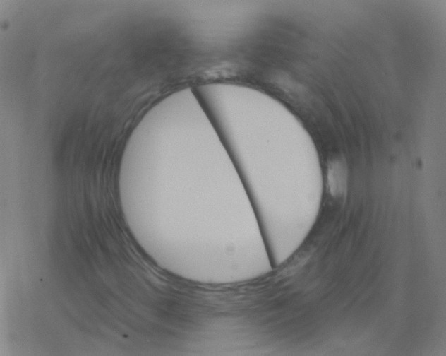 X0000076451444200610271812