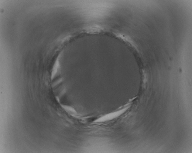 X0000076451445200610271812