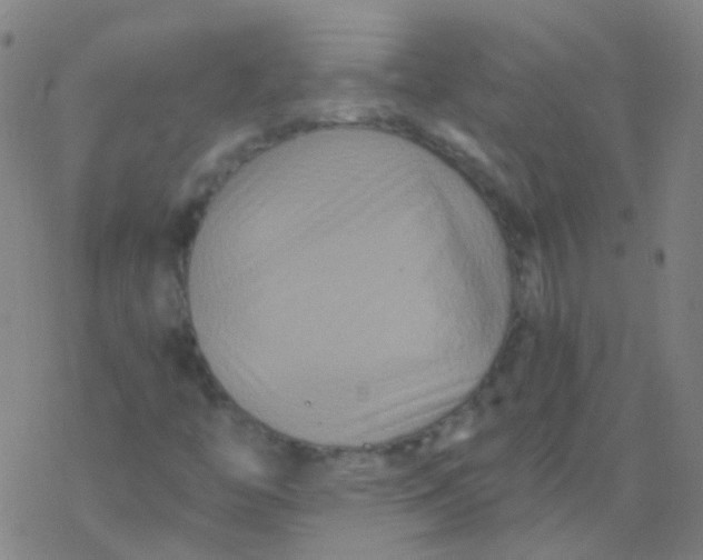 X0000076451446200610271812