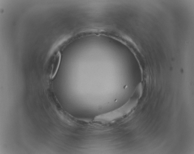 X0000076451448200610271812