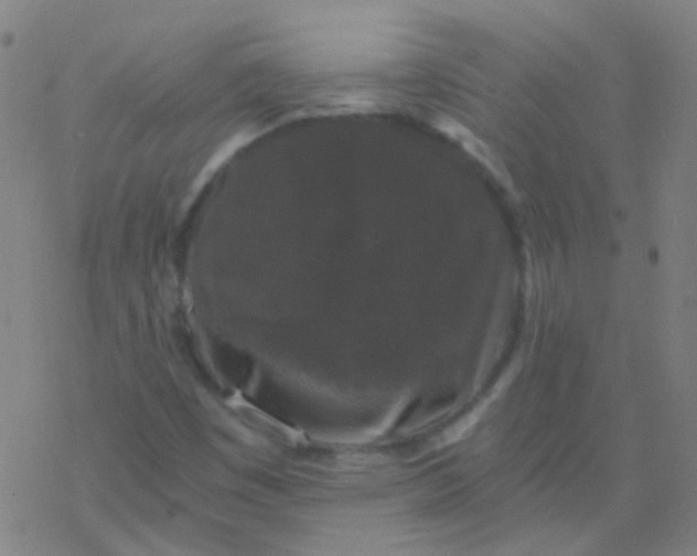 X0000076451449200610271812