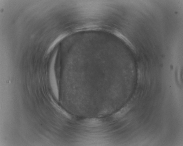 X0000076451450200610271812