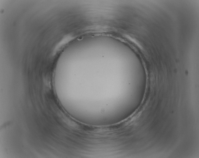 X0000076451451200610271812