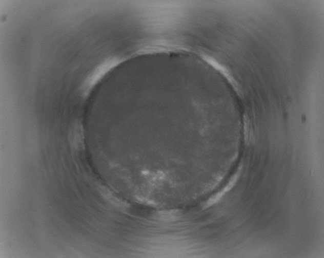 X0000076451453200610271812