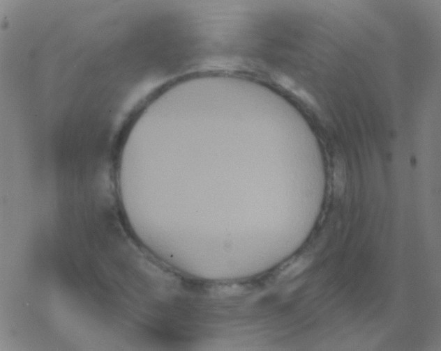 X0000076451454200610271812