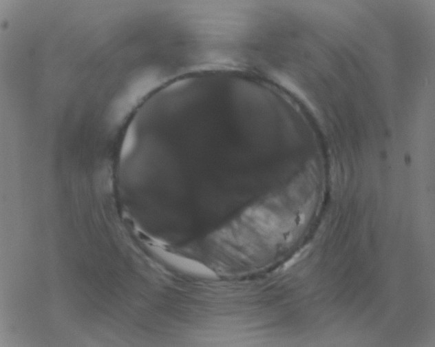 X0000076451455200610271812