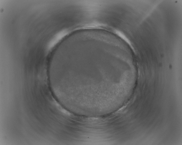 X0000076451456200610271812