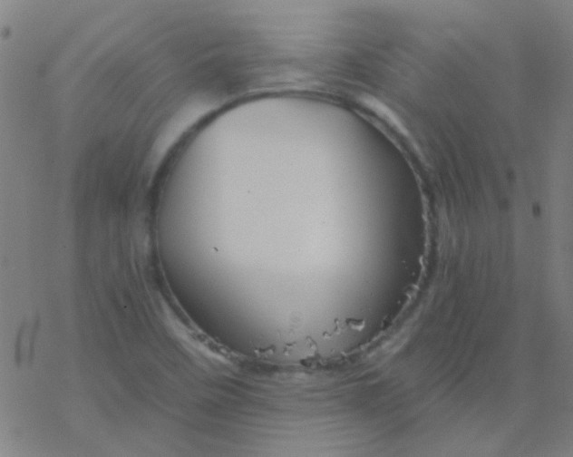 X0000076451458200610271812