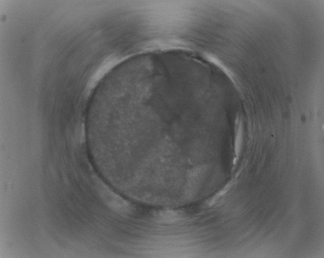 X0000076451459200610271812