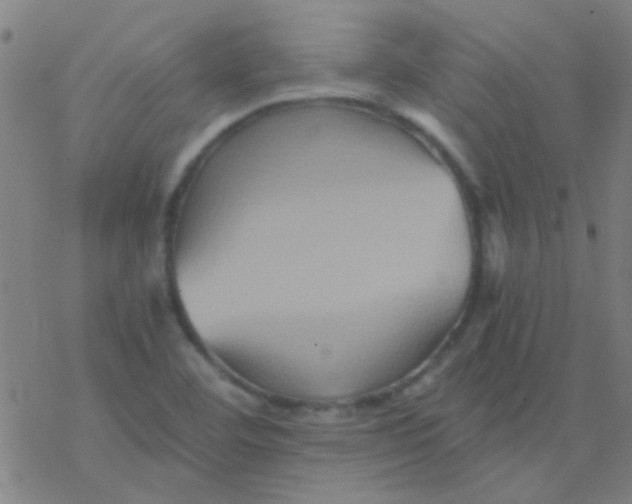 X0000076451460200610271812