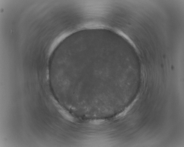 X0000076451461200610271812