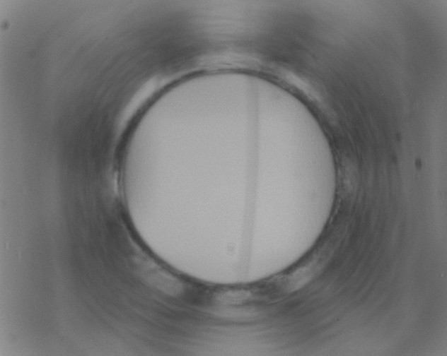 X0000076451462200610271812