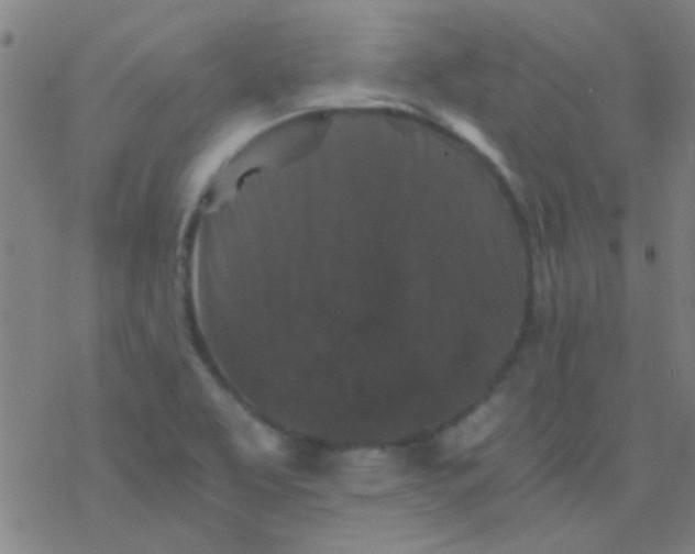 X0000076451463200610271812