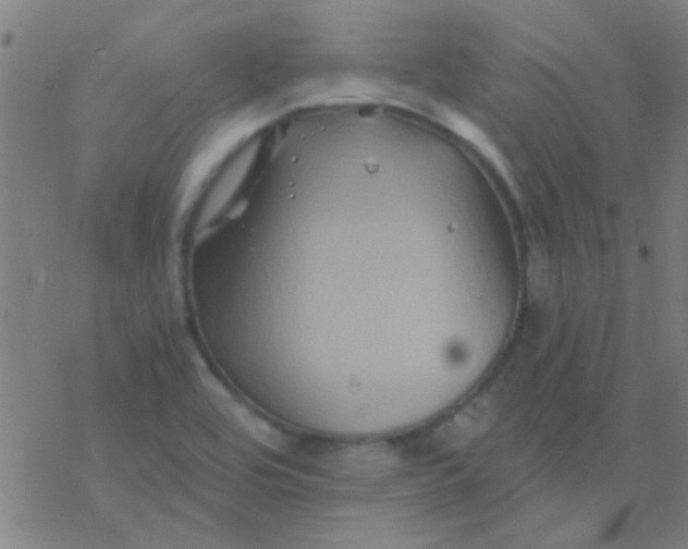 X0000076451464200610271812