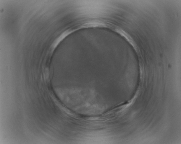 X0000076451465200610271812