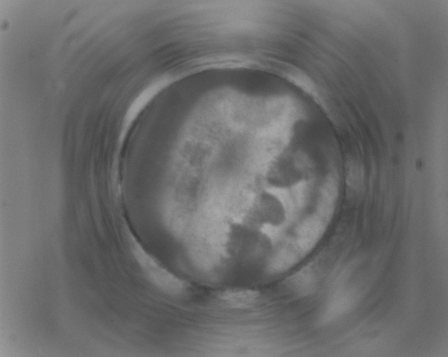 X0000076451466200610271812