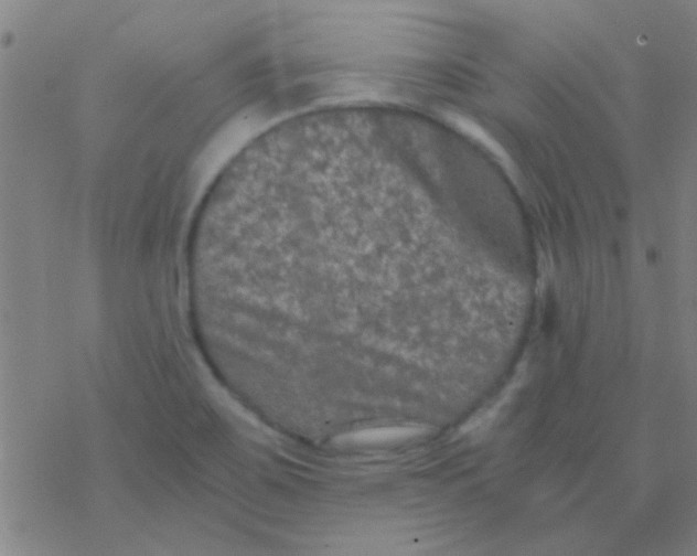 X0000076451467200610271812