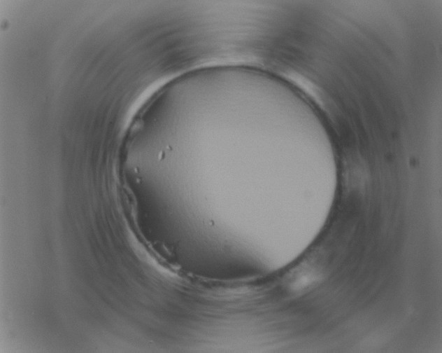 X0000076451468200610271812